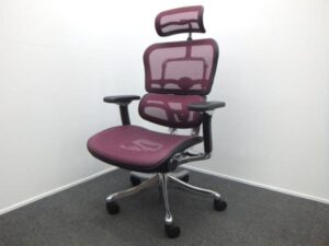 Ergohuman エルゴヒューマン ベーシック　オフィスチェア 22000